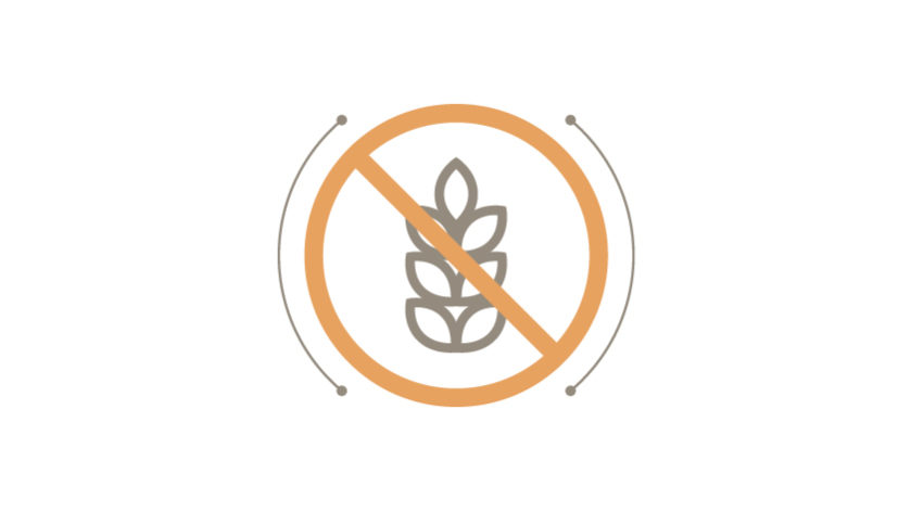 Prezentace pilotního projektu bezlepkového stravování