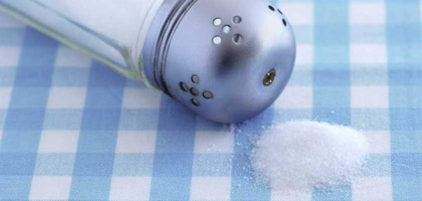 SNIŽOVÁNÍ SPOTŘEBY SOLI VE ŠKOLNÍM STRAVOVÁNÍ - BRNO