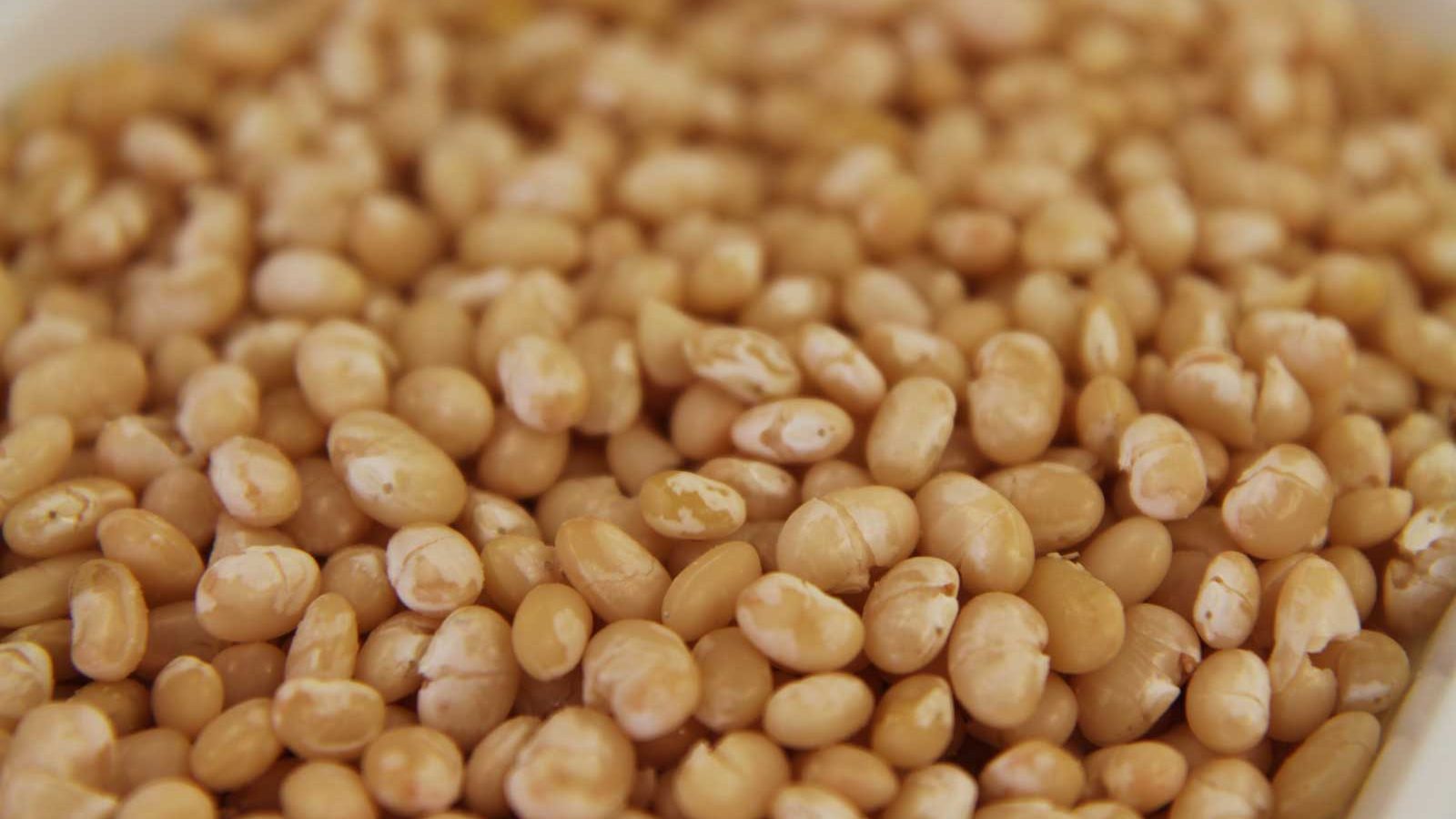 Polévka fazolová s libečkem a rajčaty